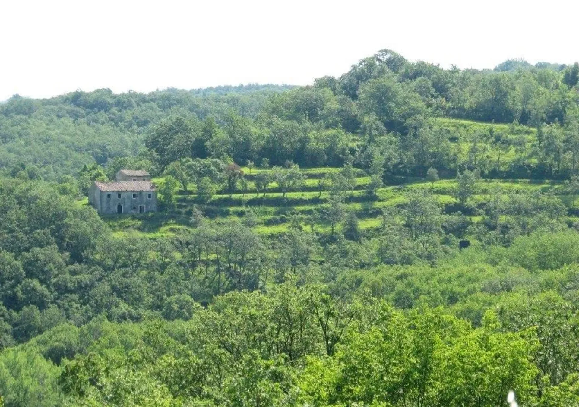 Tanah di Buje, Istria County 11337047