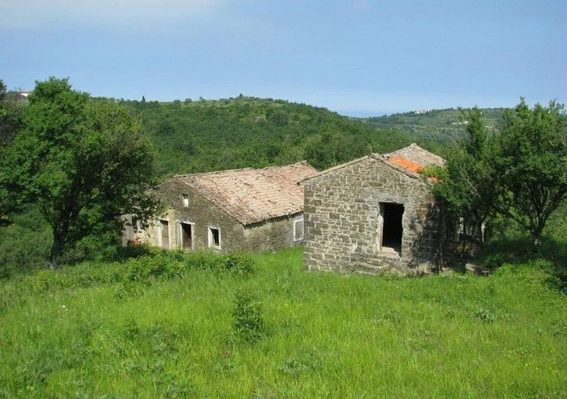 Comercial en Buje, Istria County 11337047