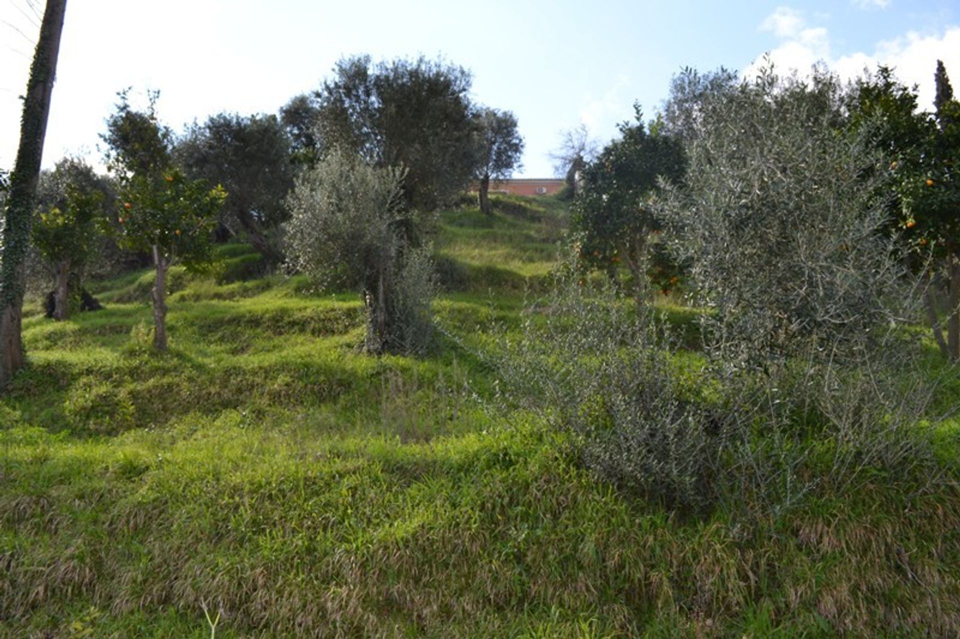 Land in Kontokali, Ionia Nisia 11338272