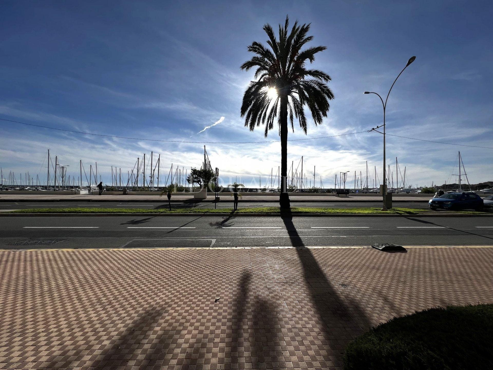 Muu sisään Menton, Provence-Alpes-Cote d'Azur 11338490