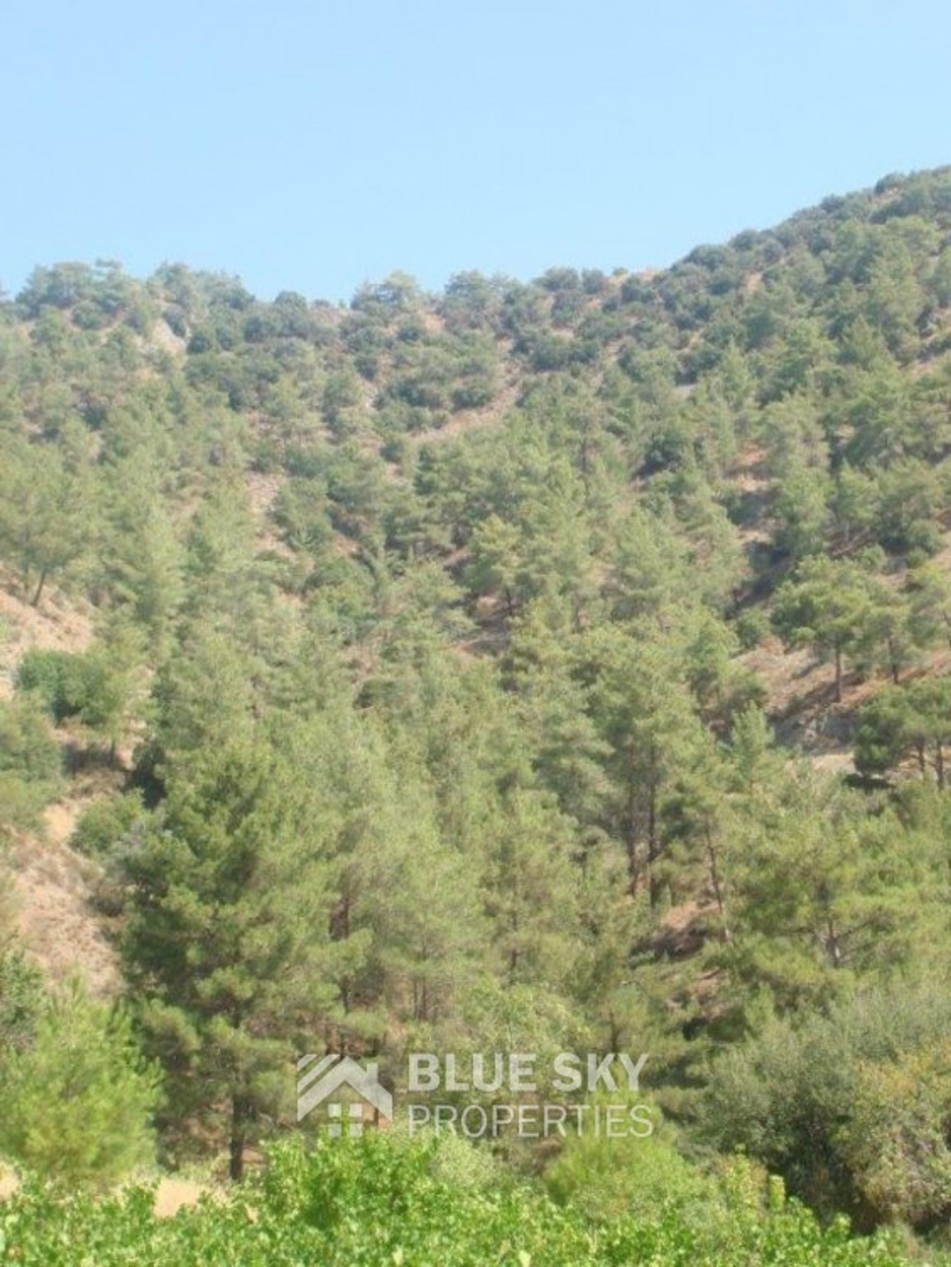 Land in Soularavia, Lemesos 11339054