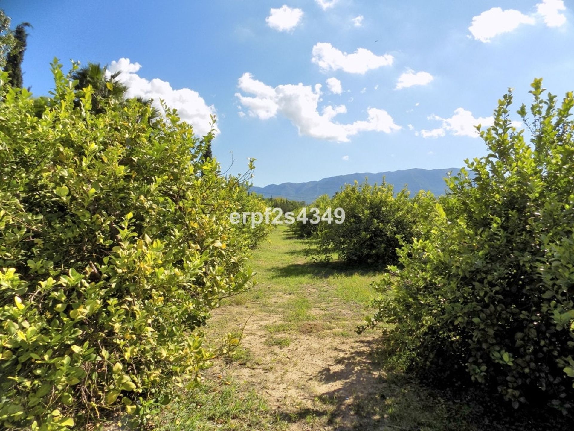 House in Cártama, Andalucía 11340896