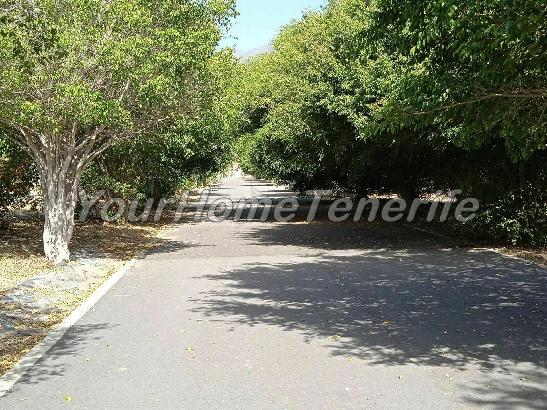 House in Güímar, Canary Islands 11341139