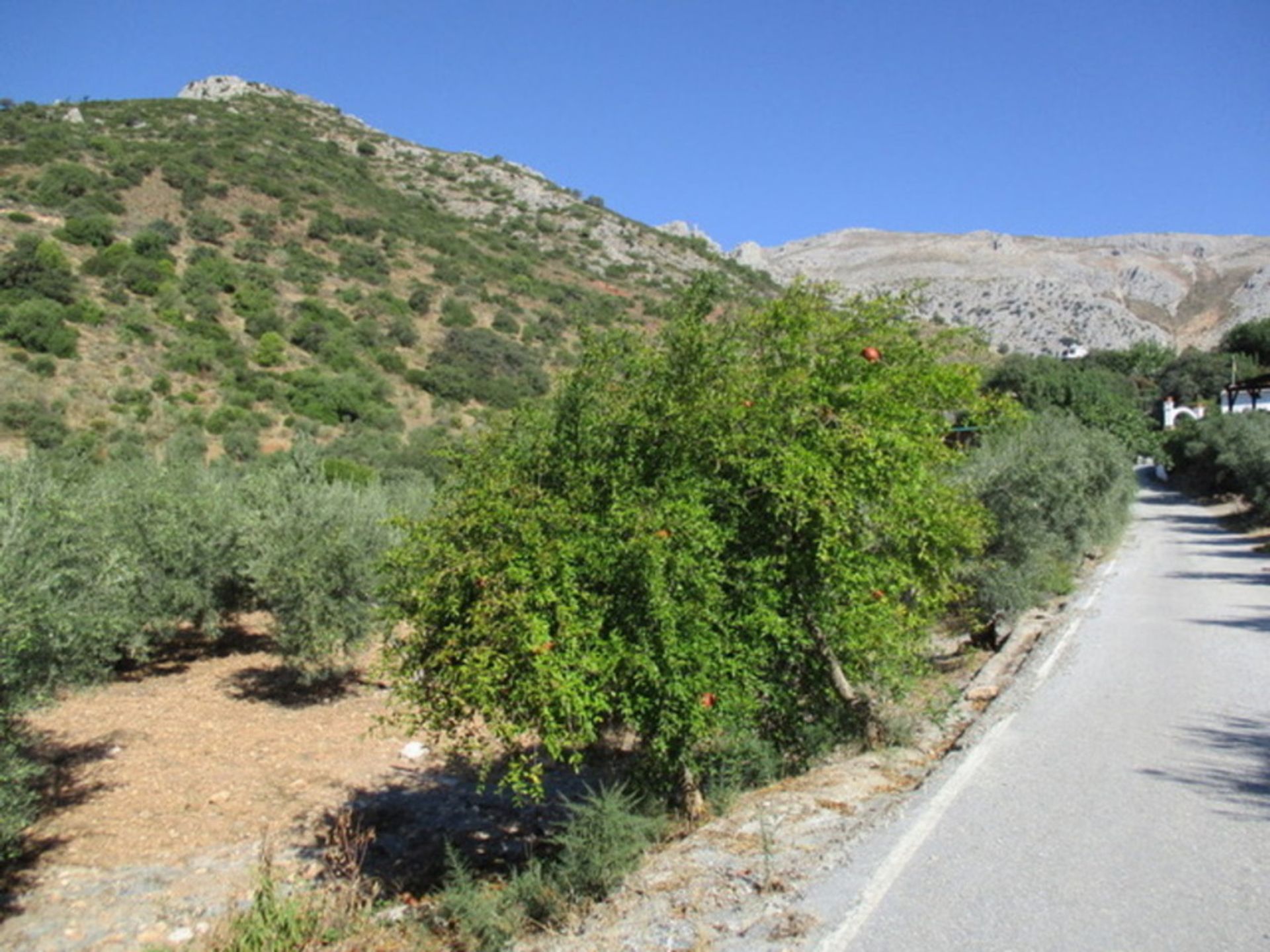 Dom w Álora, Andalucía 11341436