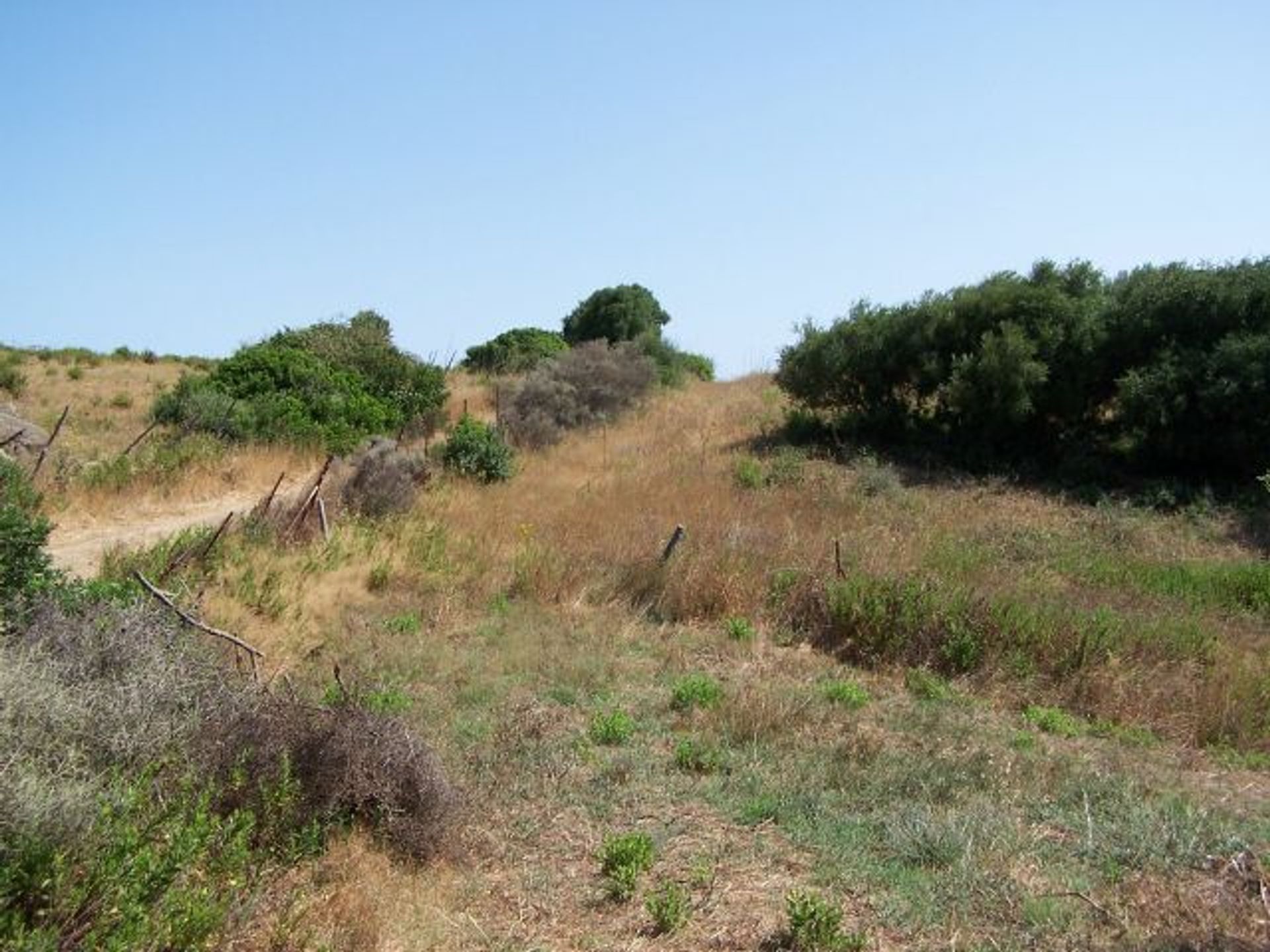 Land in Sotogrande, Andalusia 11341615