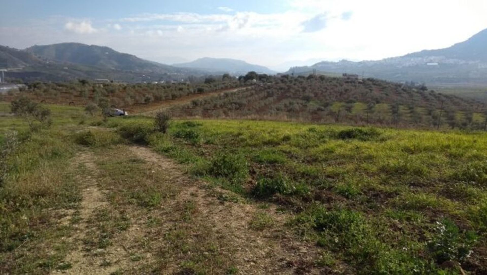 Terre dans Carratraça, Andalousie 11342083