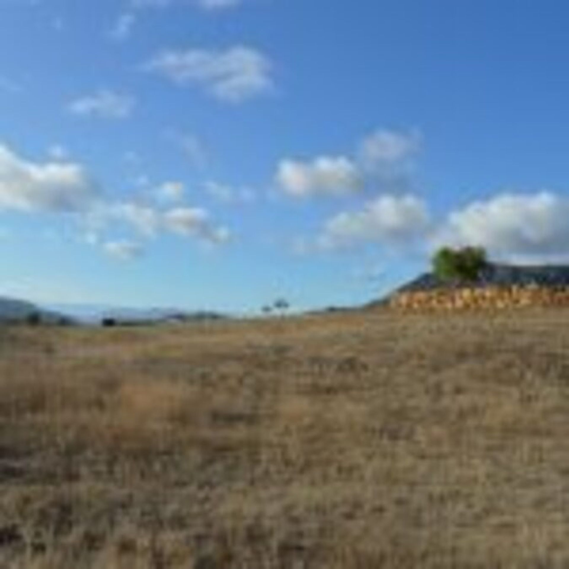 Terre dans Carratraça, Andalousie 11342083