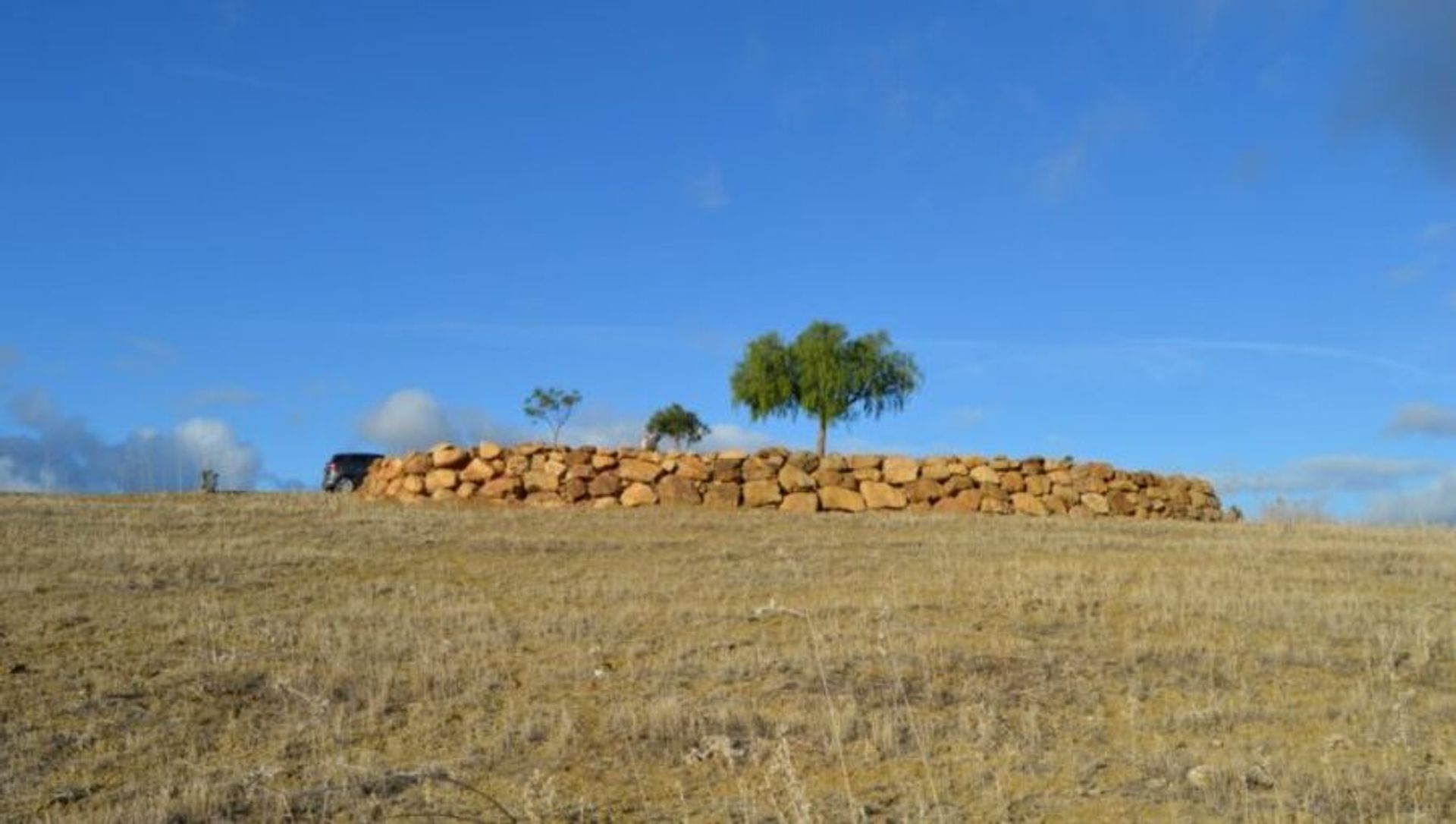 Terre dans Carratraça, Andalousie 11342083