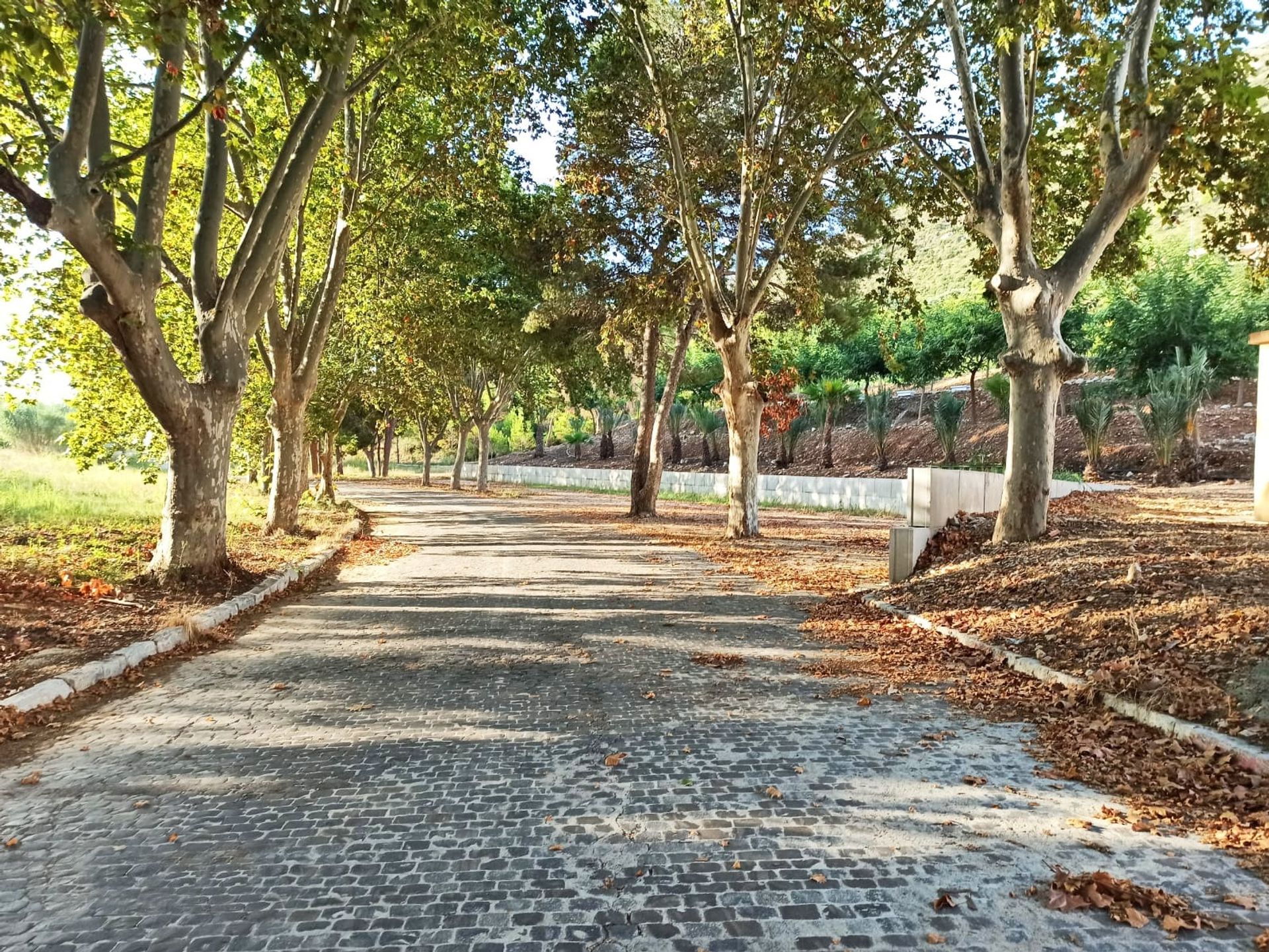 Eigentumswohnung im Gandia, Comunidad Valenciana 11342104