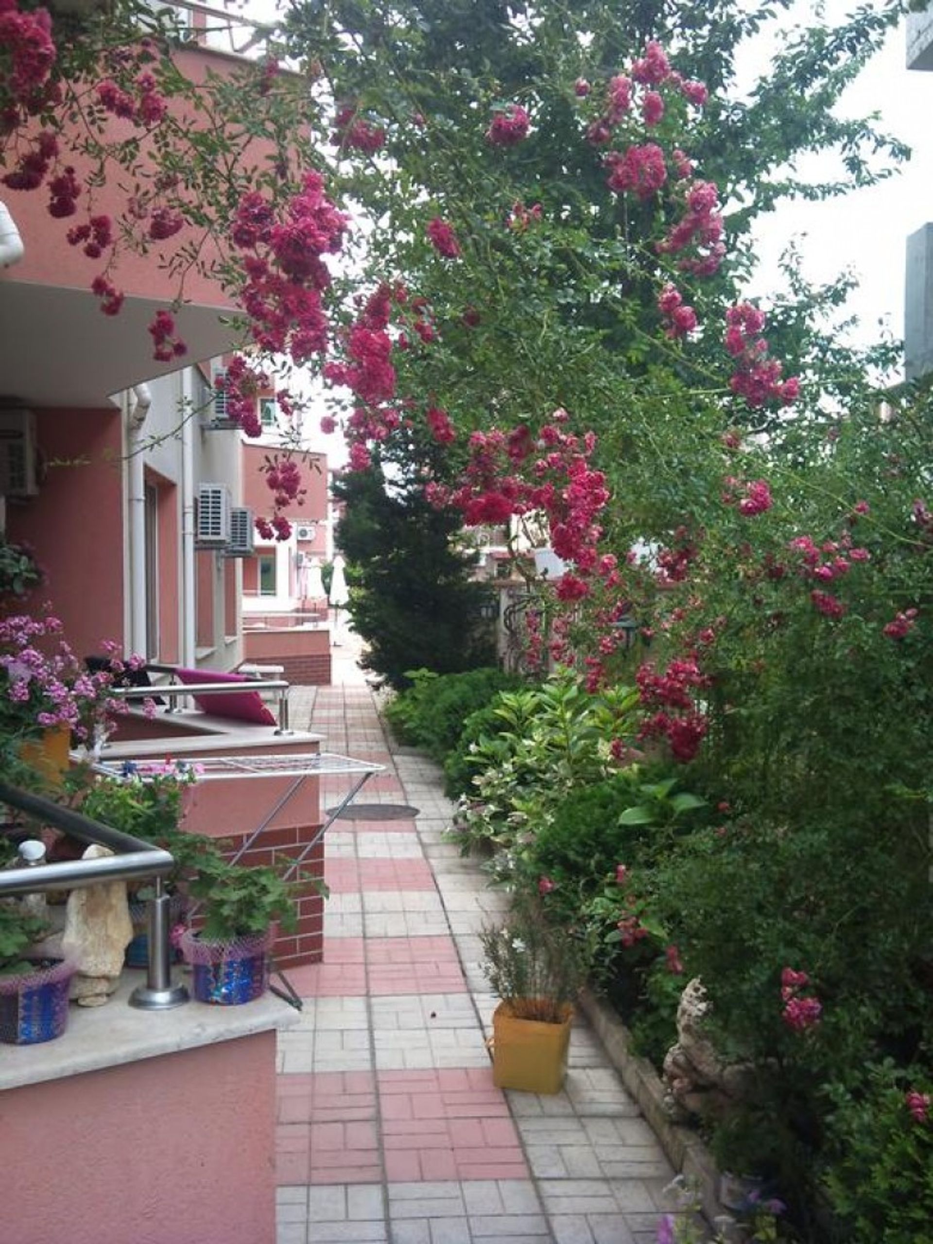 Συγκυριαρχία σε Ravda, Burgas 11342365