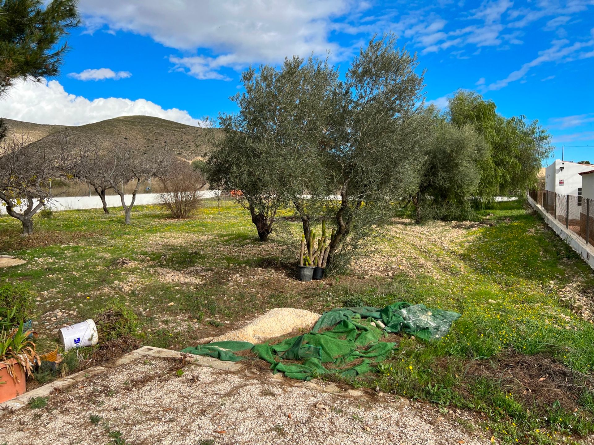 casa en Hondón de los Frailes, Valencia 11342464