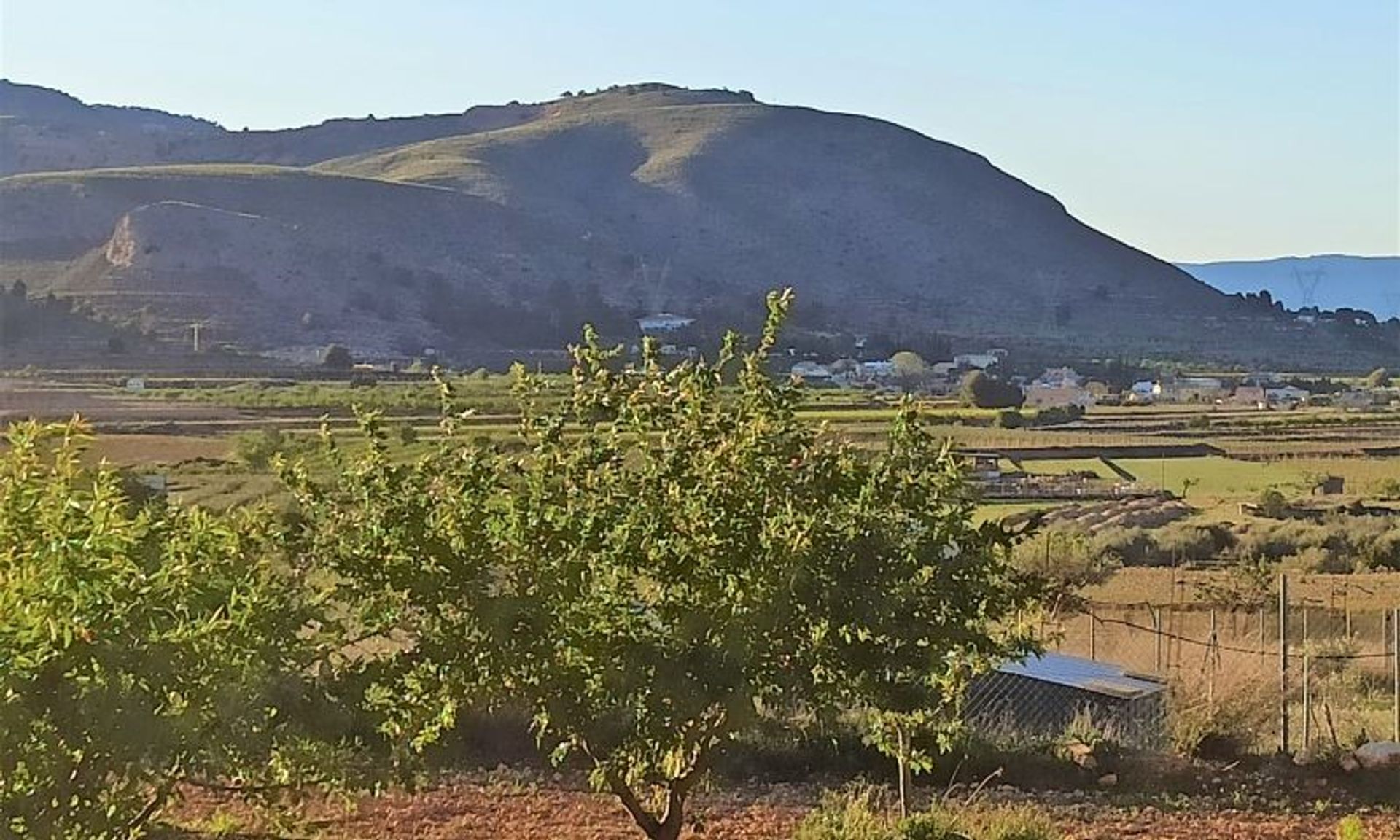 casa no La Romana, Valencian Community 11342467