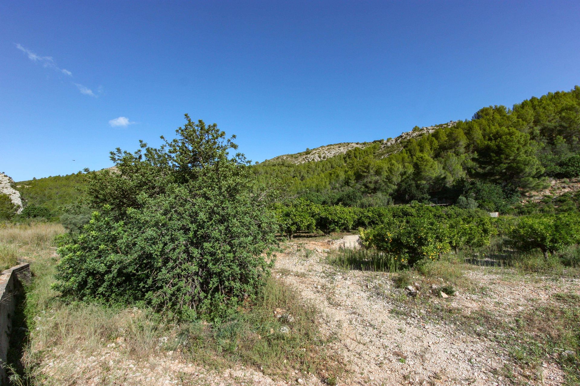 Land im Sagra, Valencian Community 11342474