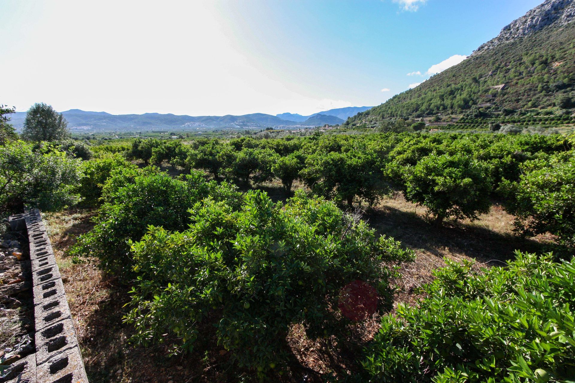 Γη σε Sagra, Valencian Community 11342474