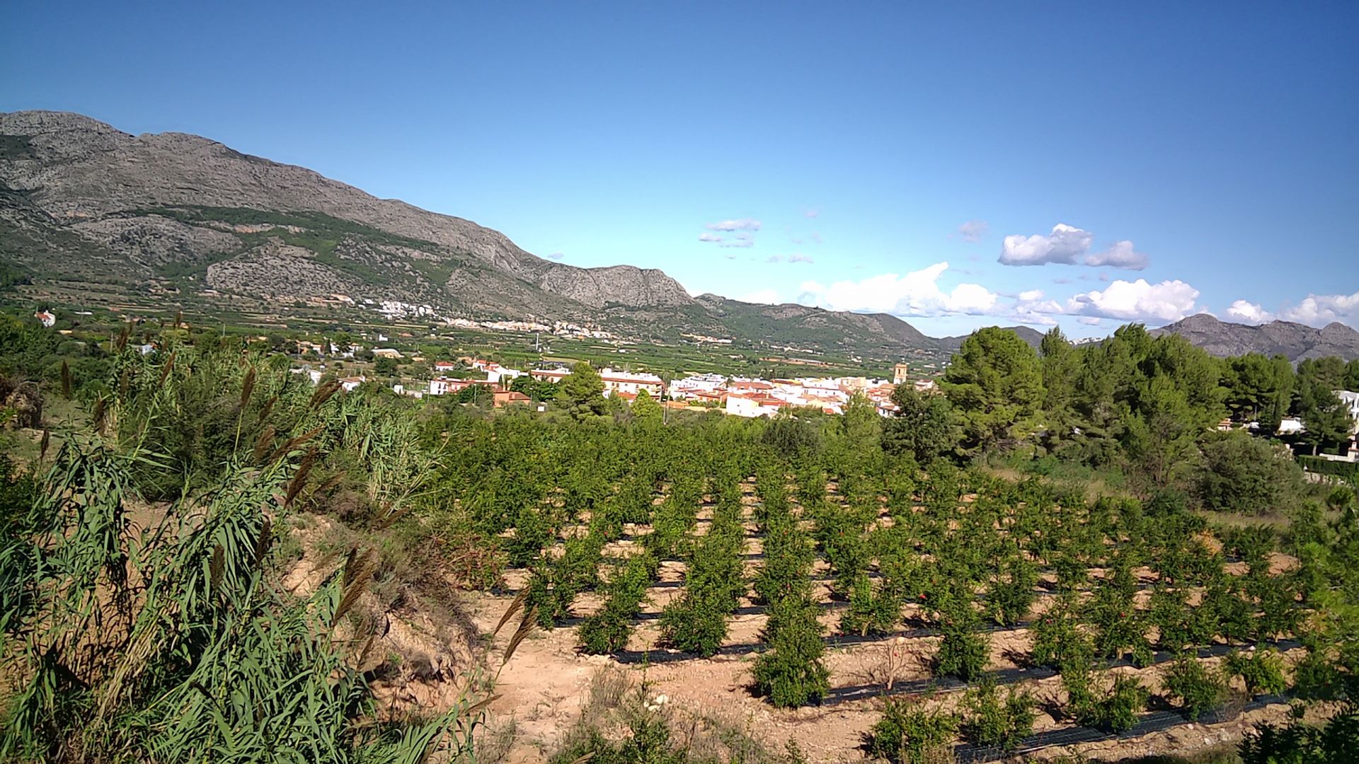 Land in Orba, Comunitat Valenciana 11342478