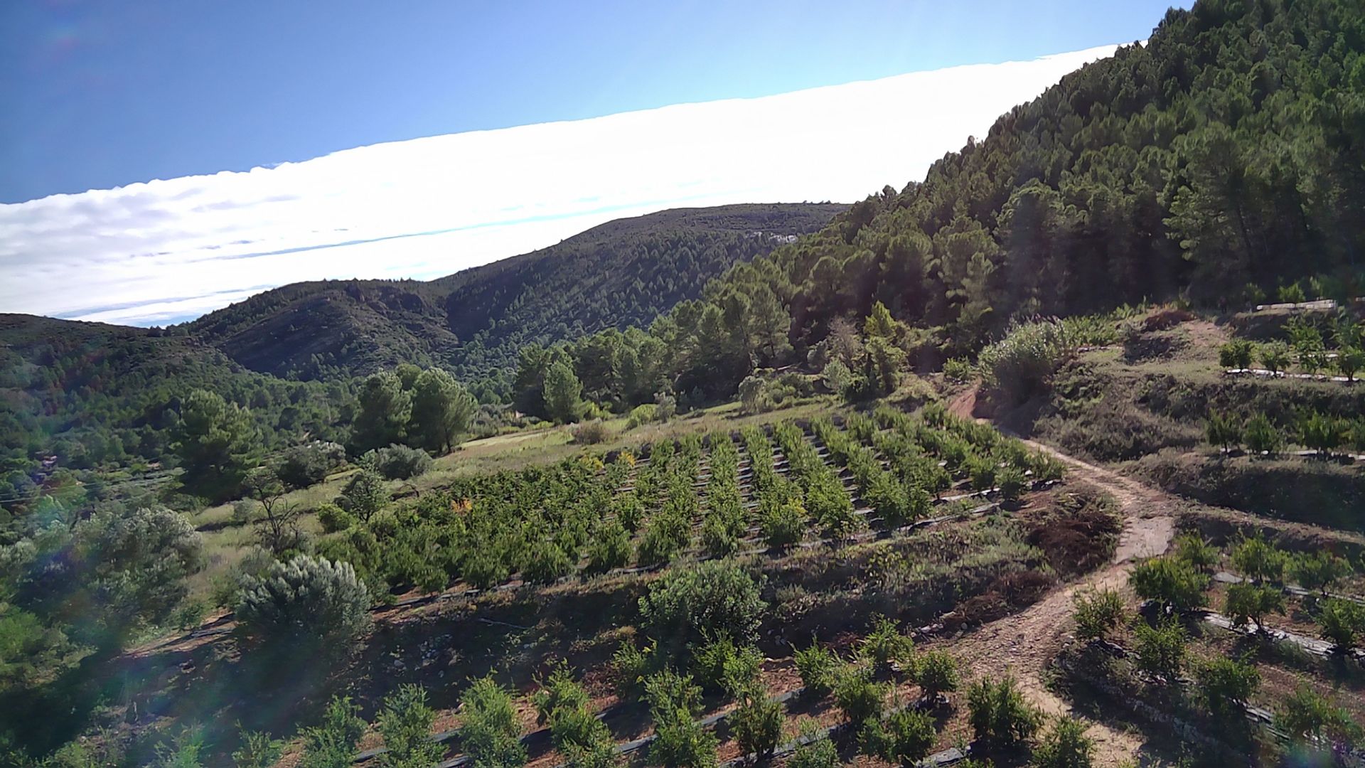 Land in Orba, Comunitat Valenciana 11342478