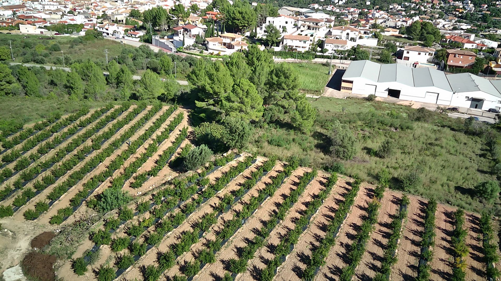 Maa sisään Orba, Comunitat Valenciana 11342478