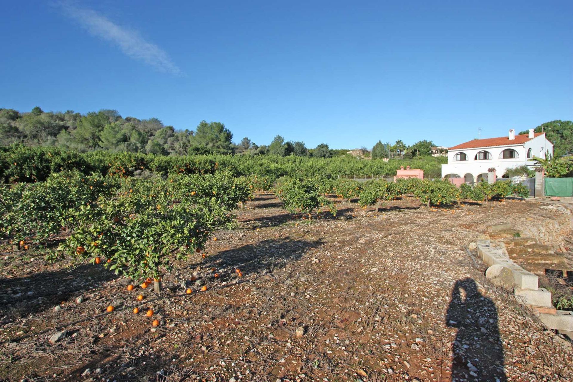 Hus i Ciudad Jardin, Valencia 11342500