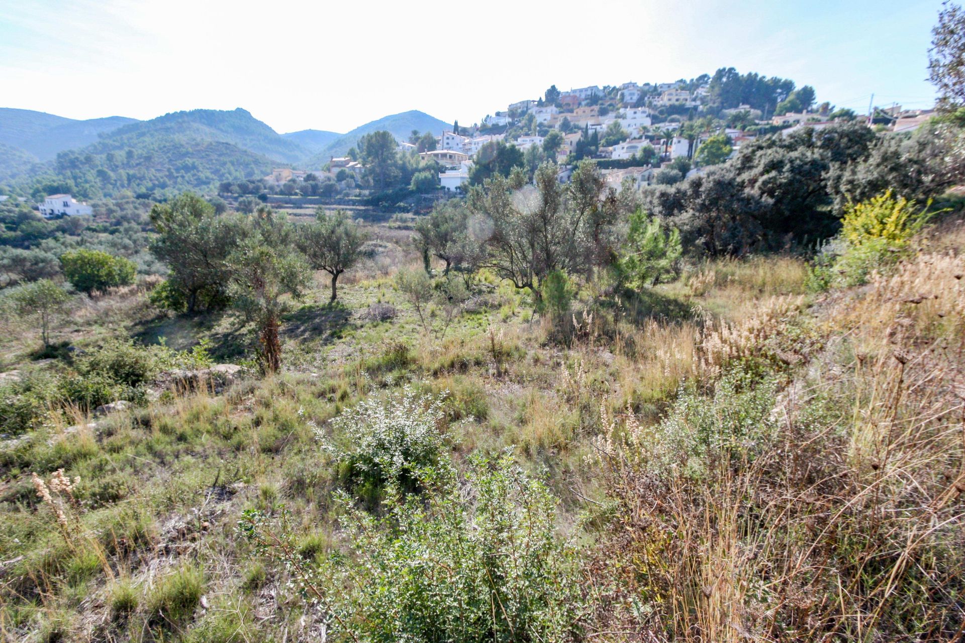 Land im Orba, Comunitat Valenciana 11342515