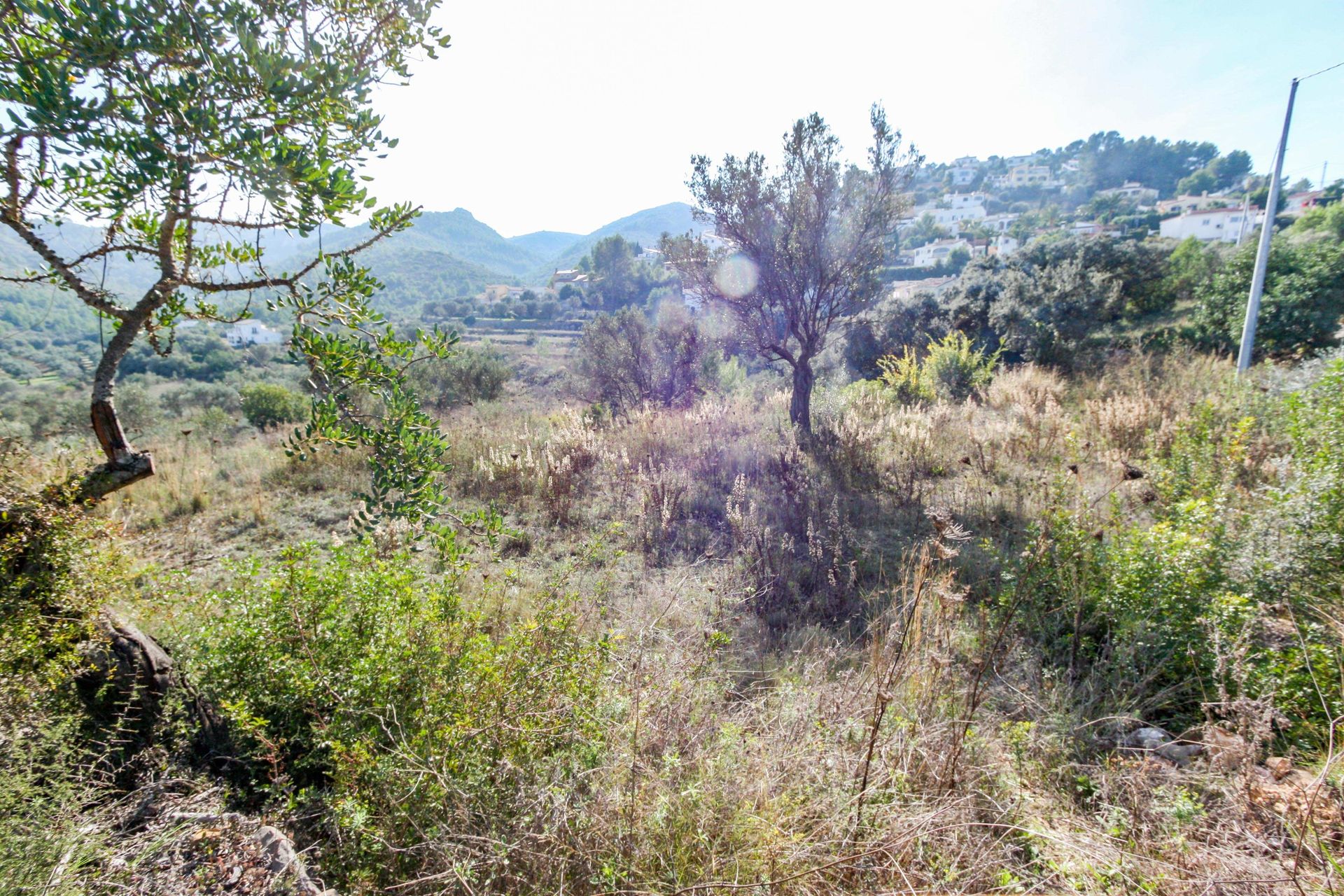 Land in Orba, Comunitat Valenciana 11342515