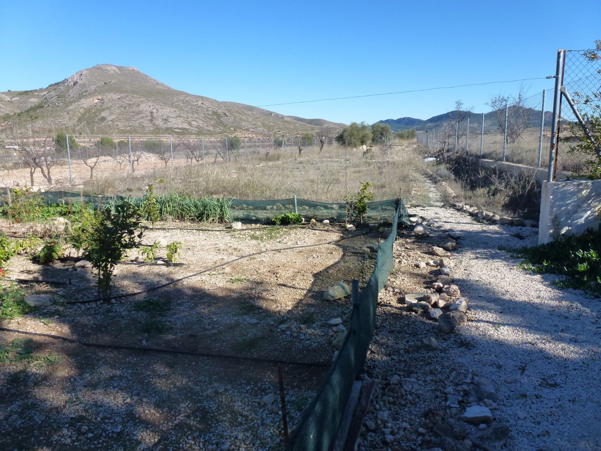 Hus i Barbarroja, Comunidad Valenciana 11342517