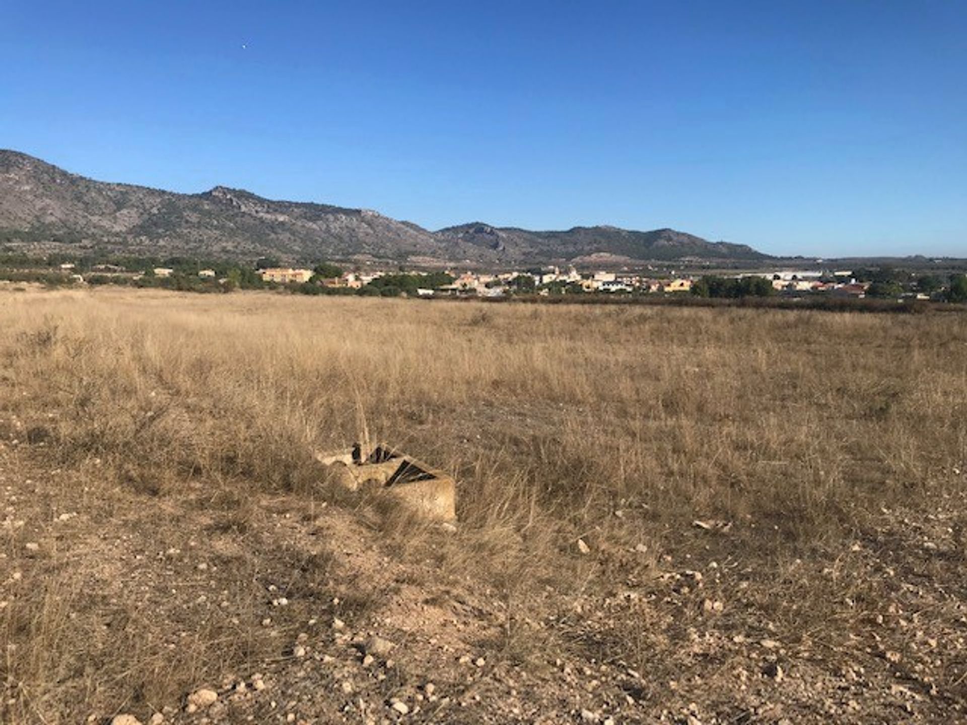 土地 在 Salinas, Valencian Community 11342522