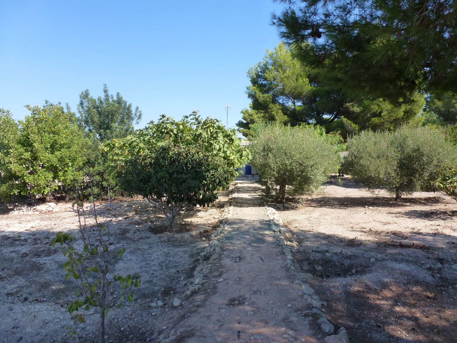 房子 在 Hondón de los Frailes, Valencian Community 11342527