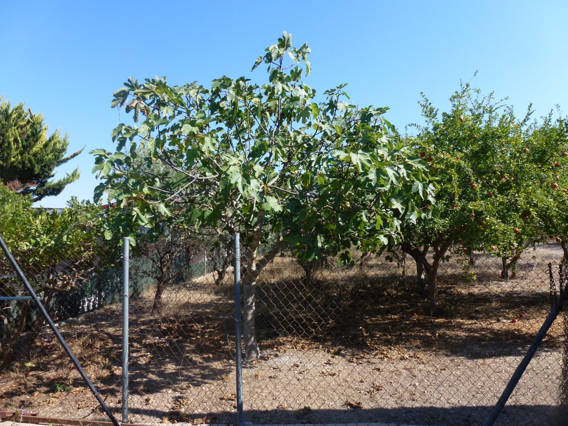 بيت في Hondón de los Frailes, Valencian Community 11342528