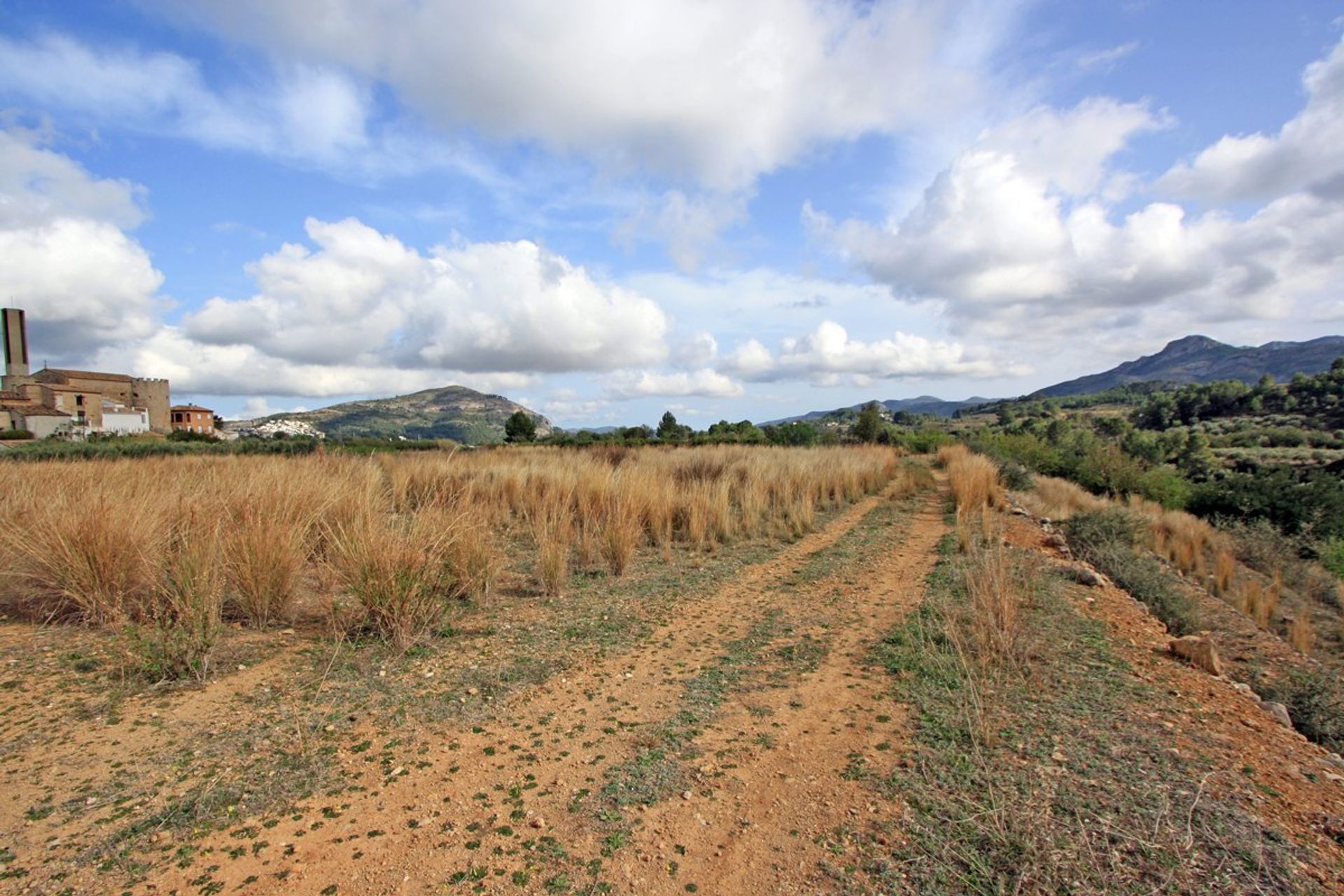 Land im Gata de Gorgos, Valencia 11342725