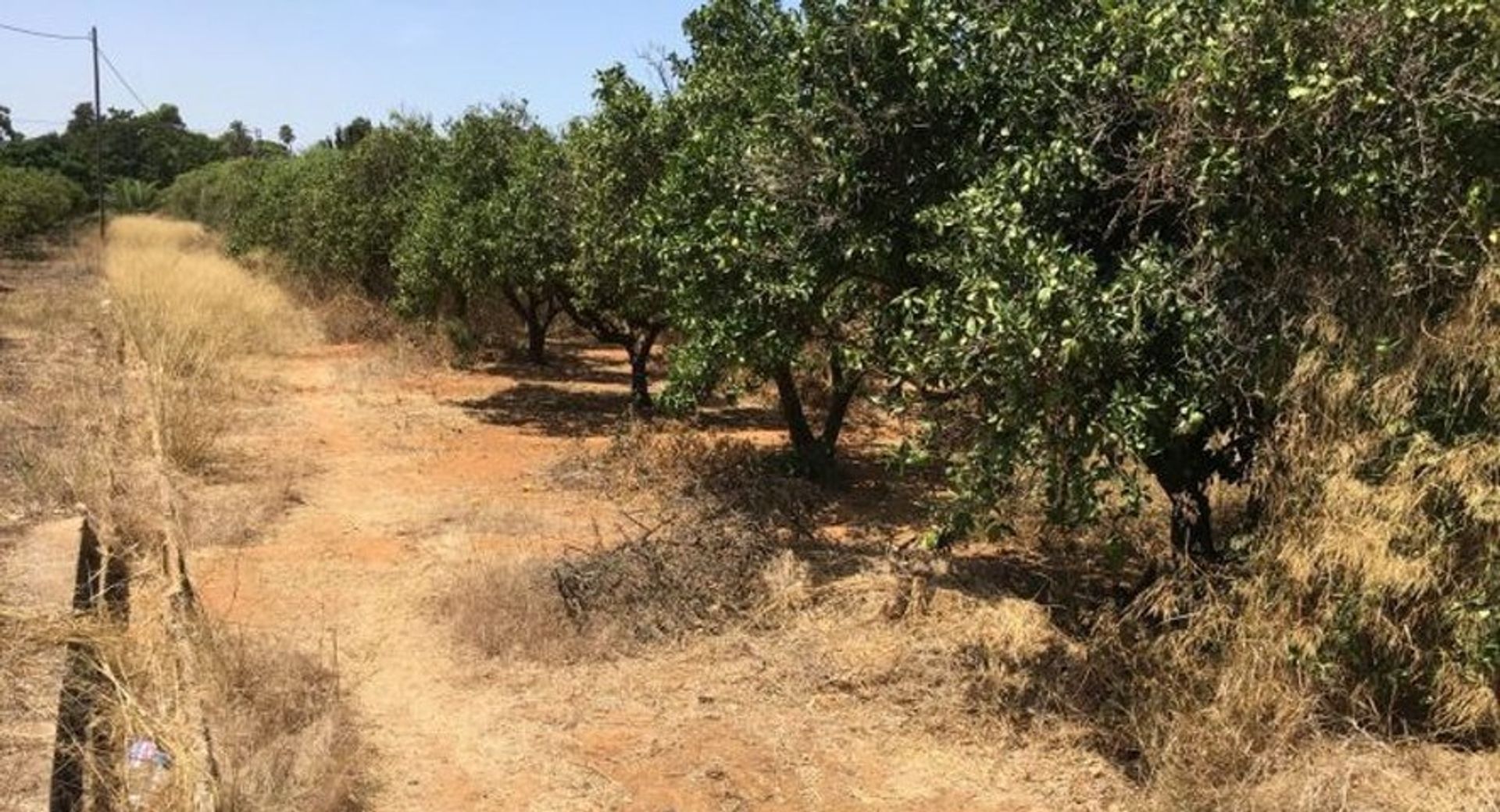 Tierra en Vista Hermosa de la Cruz, Valencia 11342727