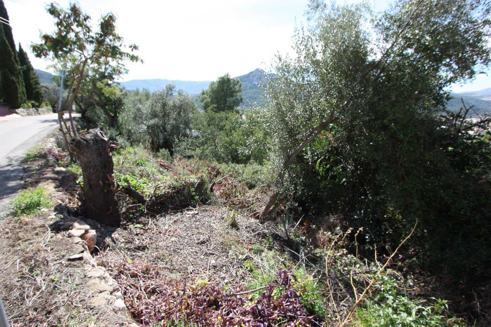 Maa sisään Gata de Gorgos, Comunidad Valenciana 11342740