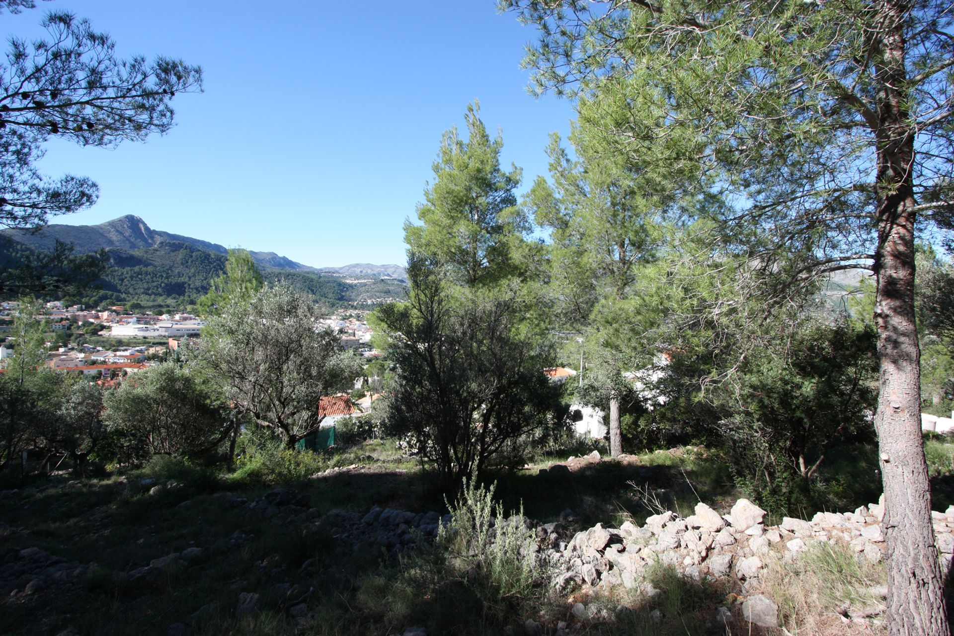 Land im Orba, Valencia 11342742