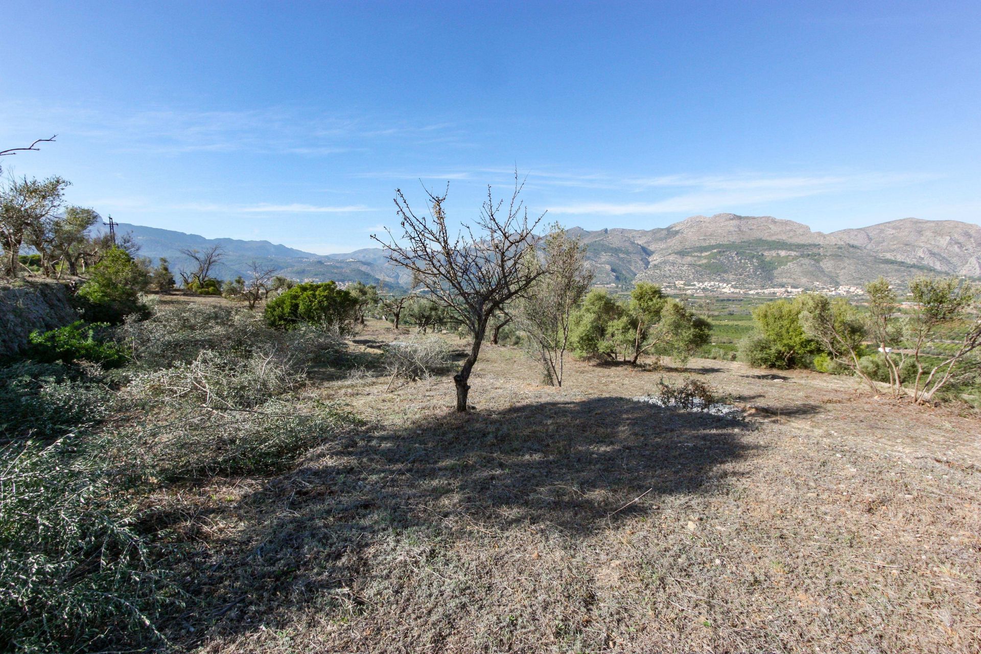 Land im Orba, Valencia 11342749