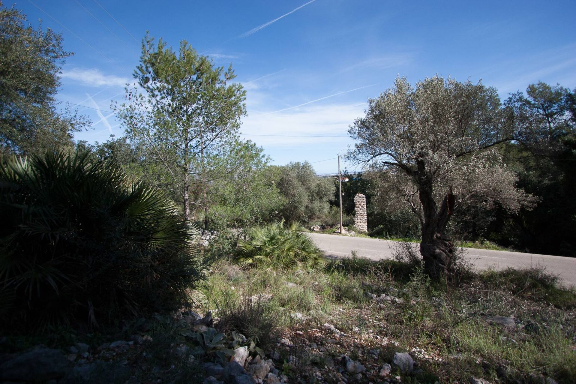 Tanah dalam Gata de Gorgos, Comunidad Valenciana 11342764