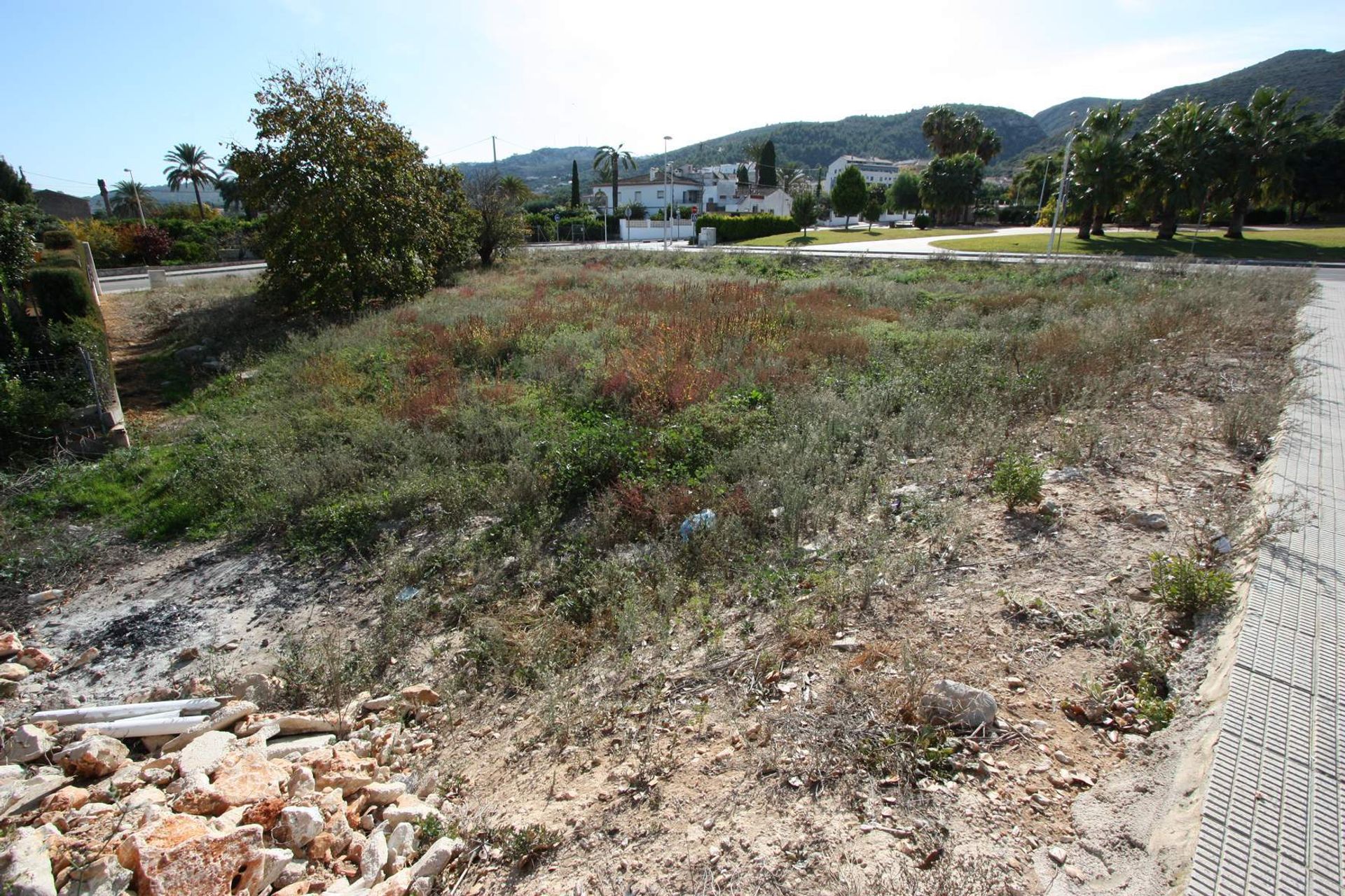 Land in Pedreguer, Comunidad Valenciana 11342776