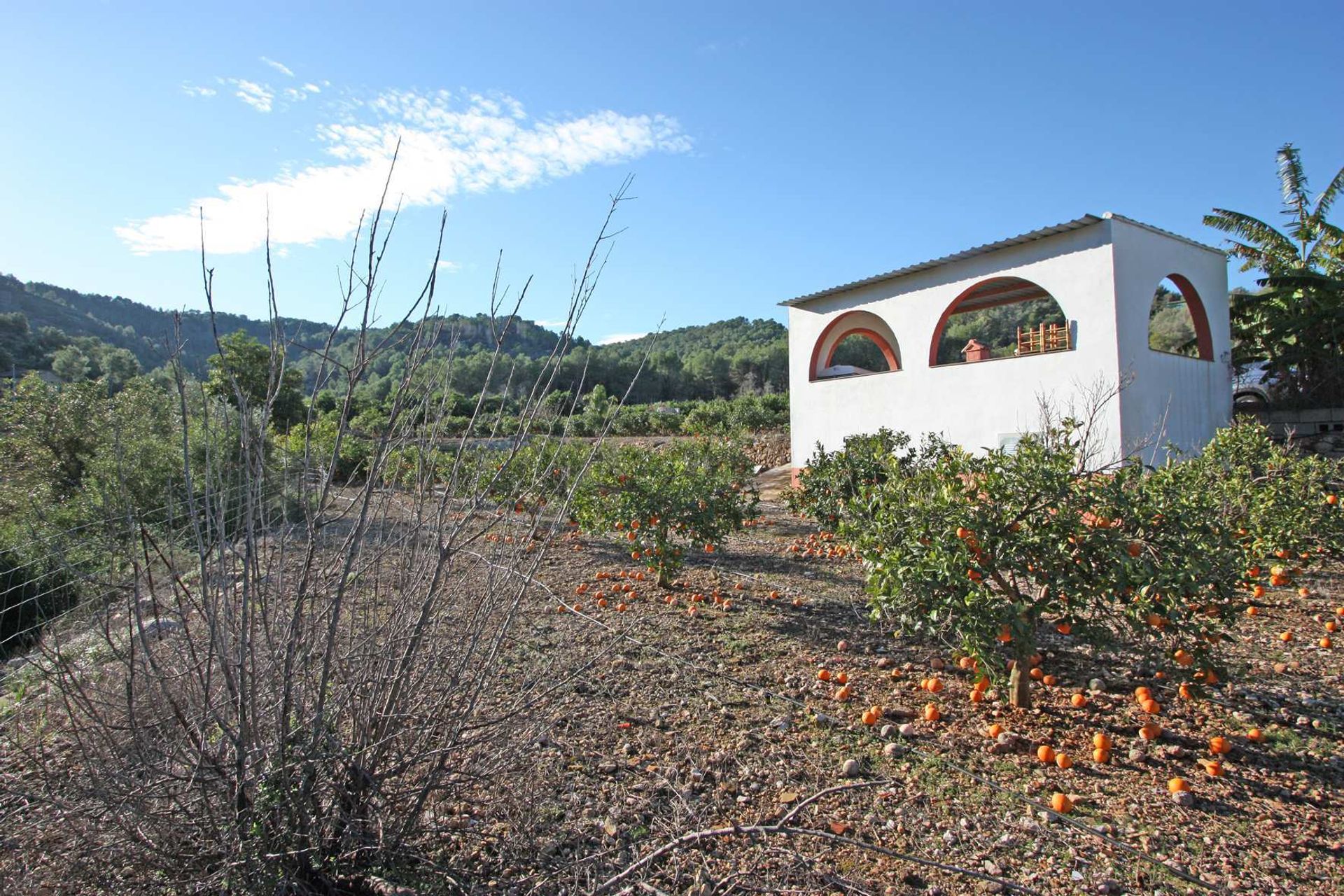 rumah dalam Pedreguer, Comunidad Valenciana 11342781