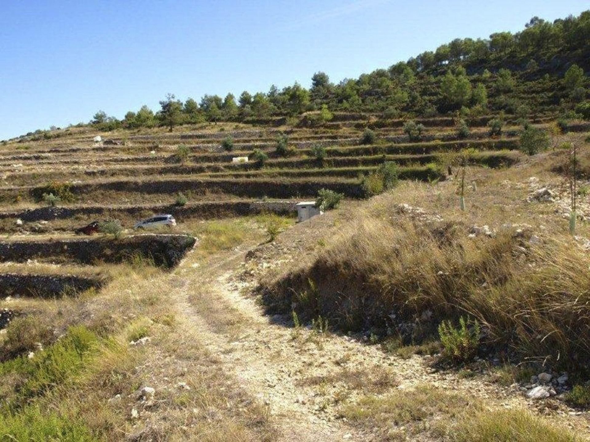 Land i Beniaya, Comunidad Valenciana 11342791