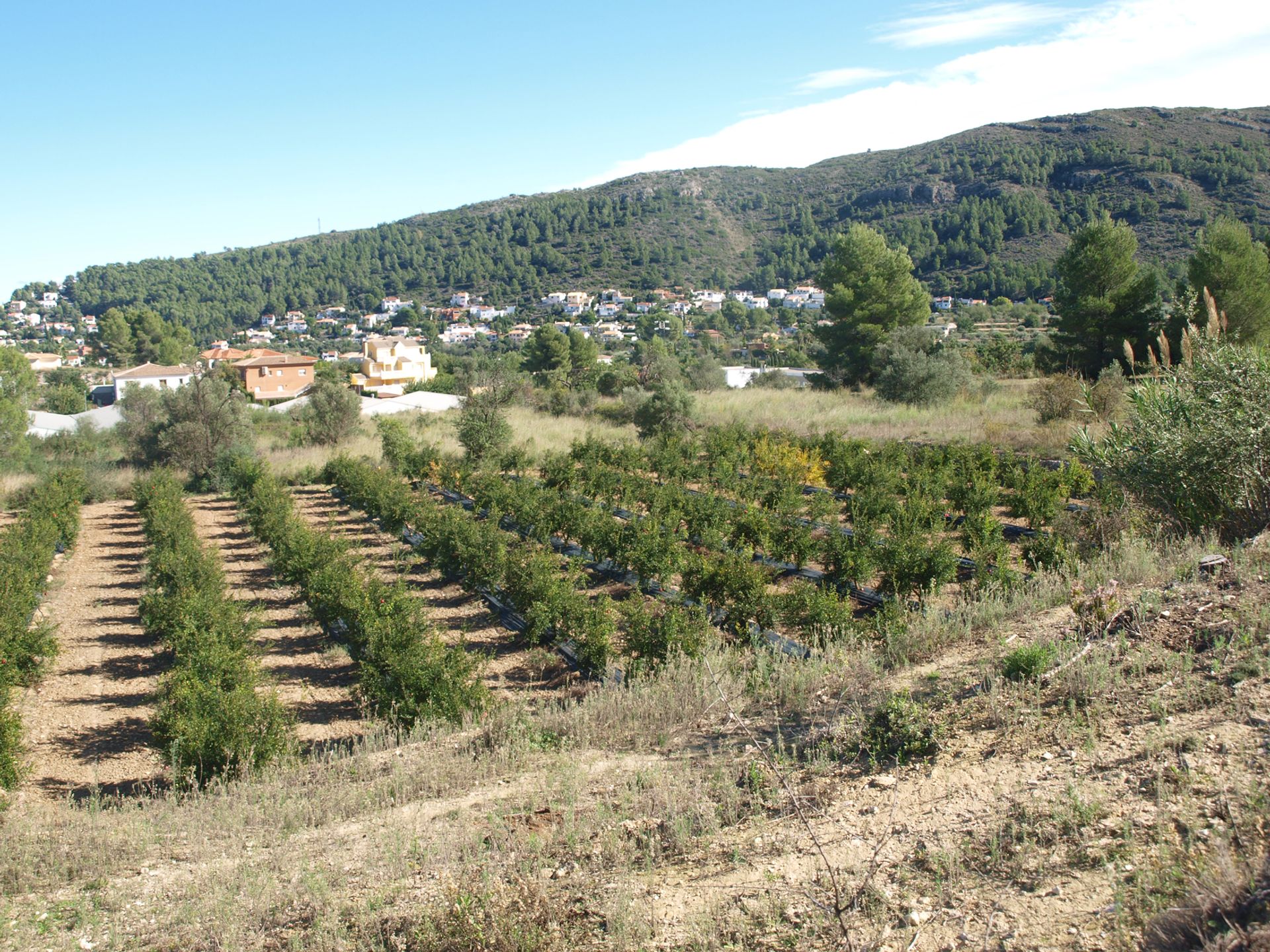 Земля в Gata de Gorgos, Comunidad Valenciana 11342819