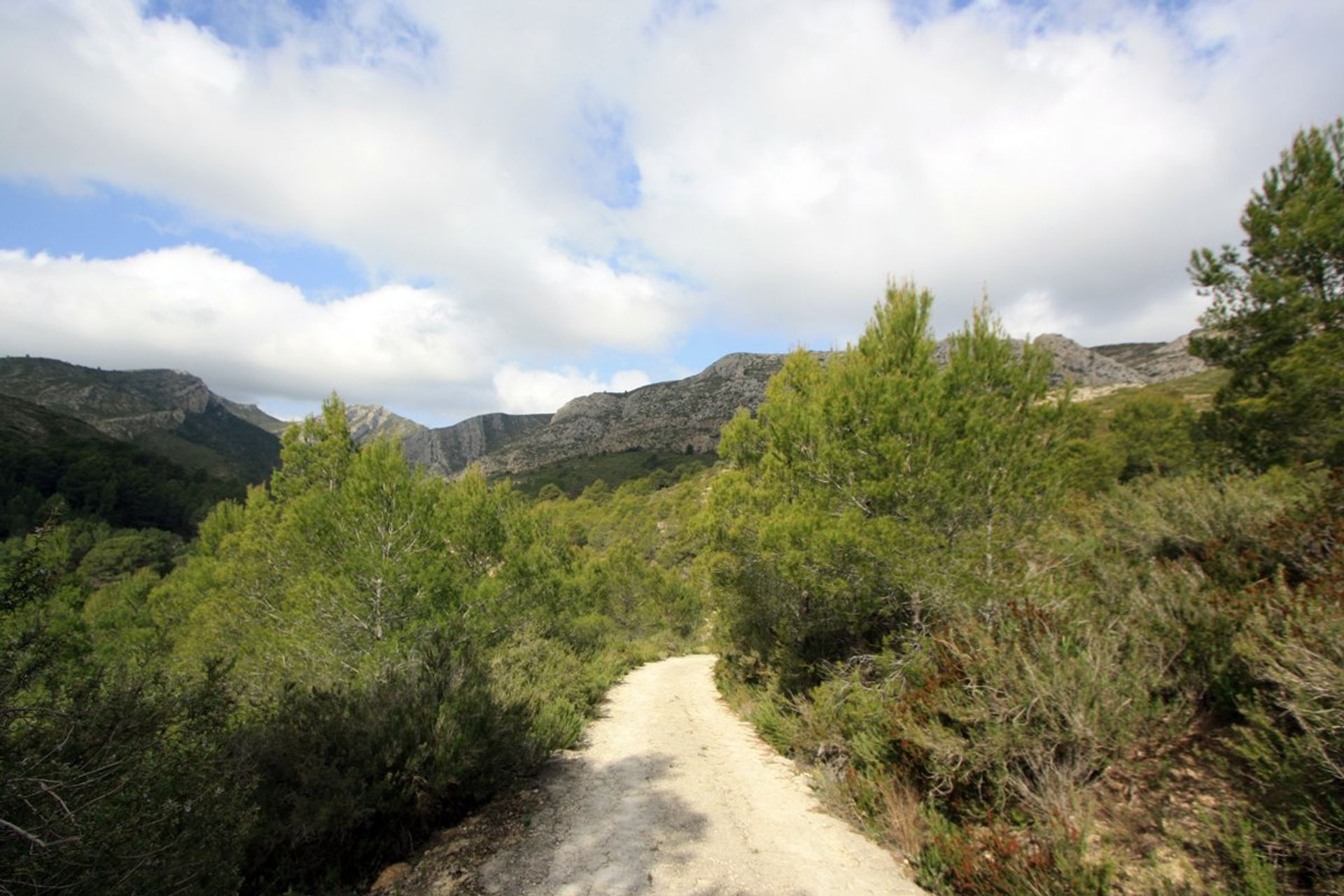 Terre dans Pedréguer, Valence 11342821