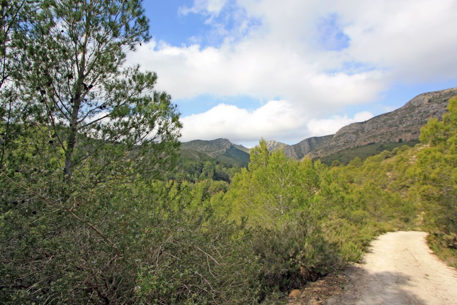 Terre dans Pedreguer, Comunidad Valenciana 11342821