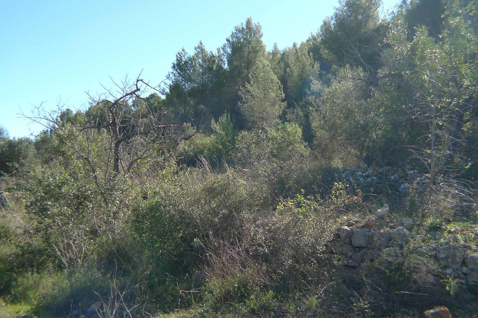 Land in Lliber, Valencia 11342822