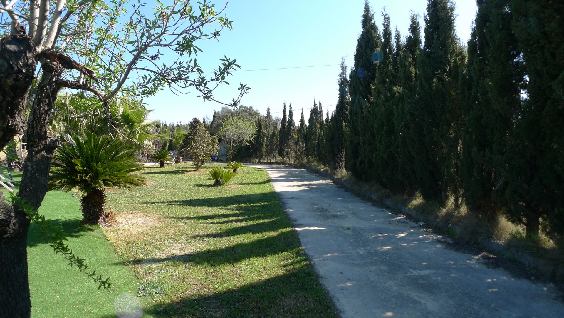 Hus i Alicante (Alacant), Comunidad Valenciana 11342828