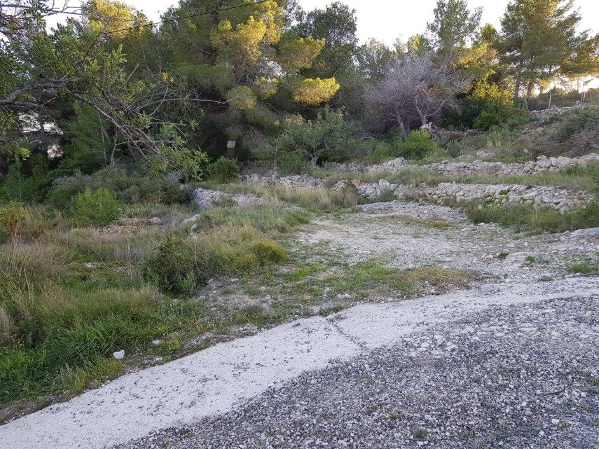 Terre dans Morayra, les îles Canaries 11342836