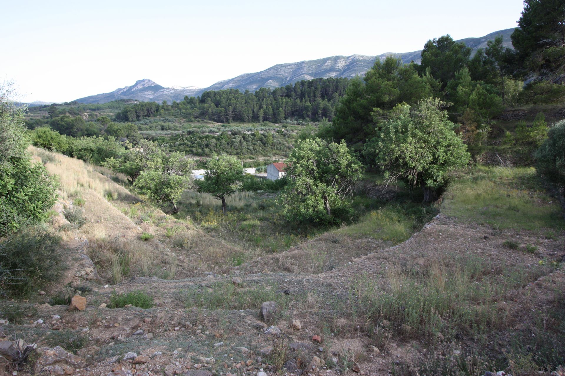 Casa nel Gata de Gorgos, Comunidad Valenciana 11342860