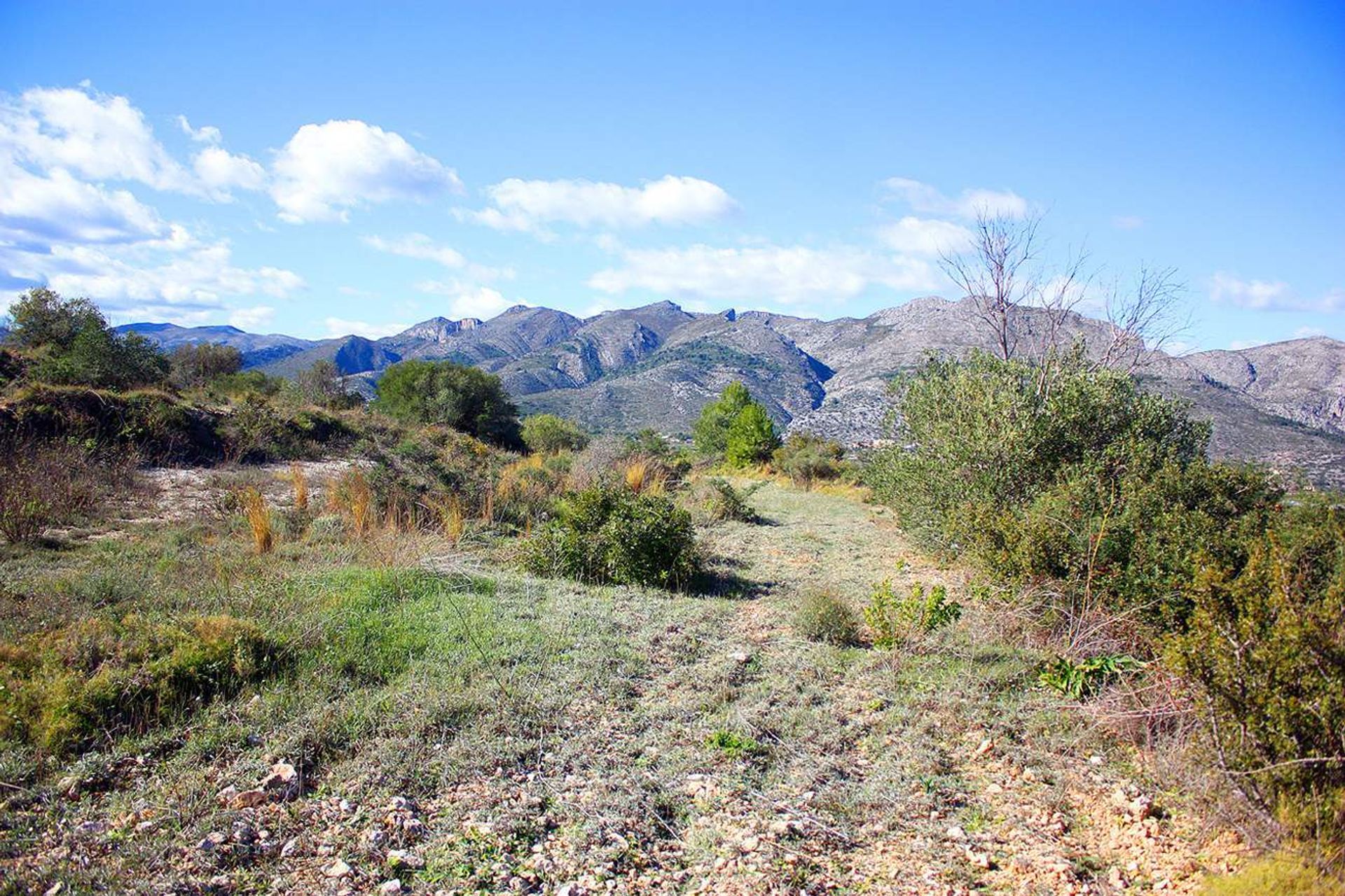 Tanah di Gata de Gorgos, Comunidad Valenciana 11342899