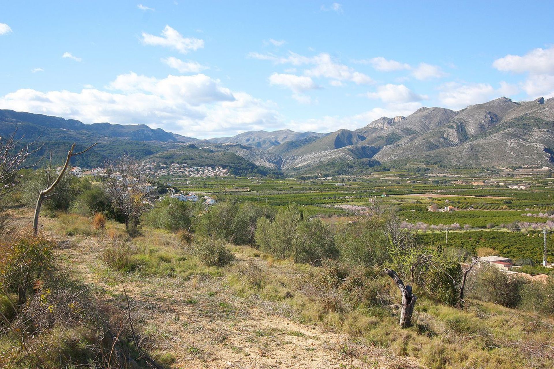 Jord i Gata de Gorgos, Comunidad Valenciana 11342899