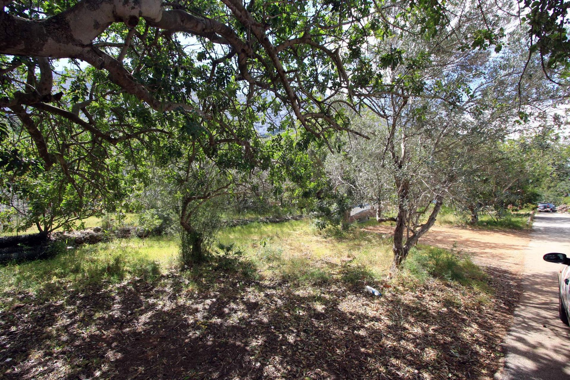 Land in Dénia, Comunidad Valenciana 11342955