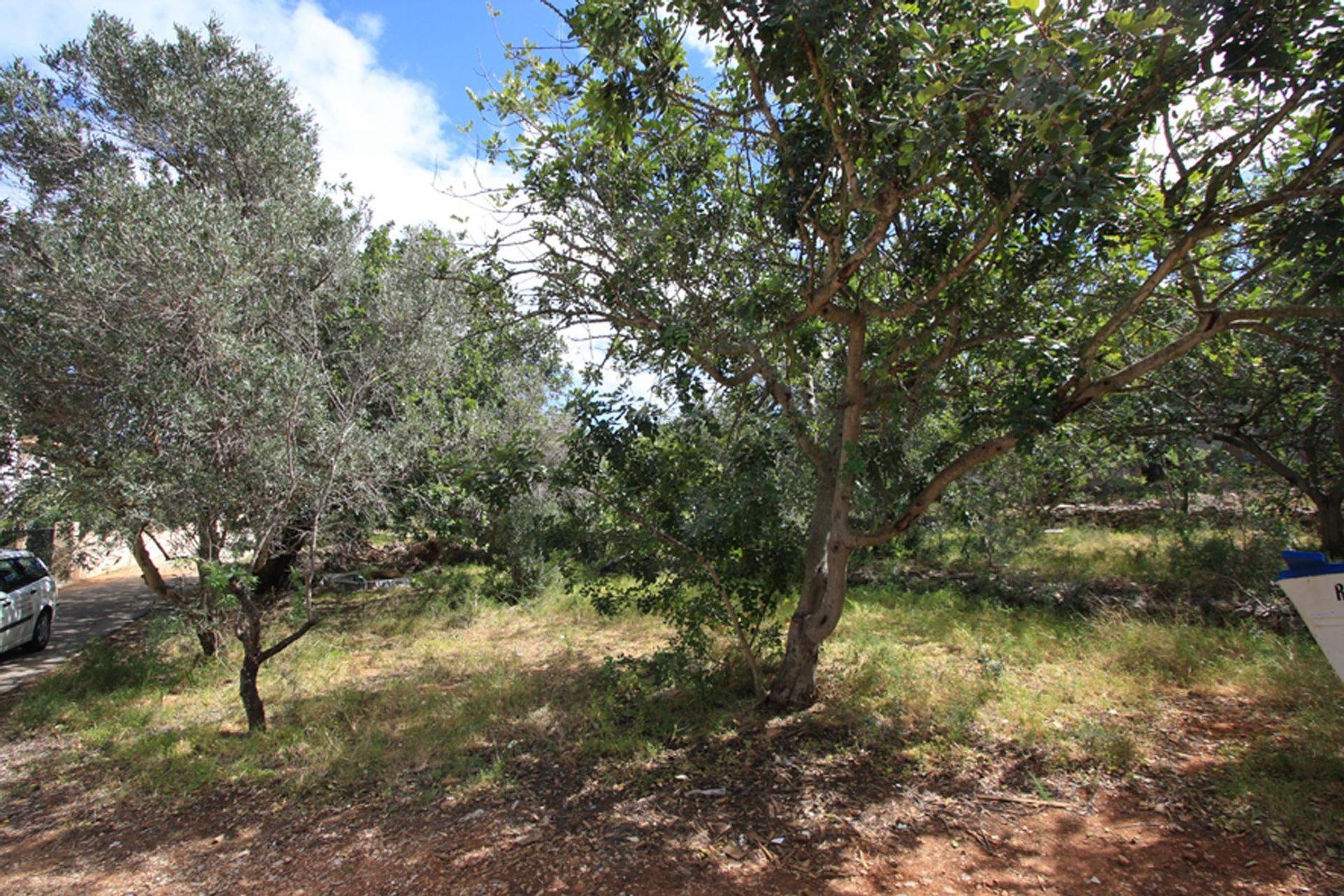 Land i Dénia, Comunidad Valenciana 11342955