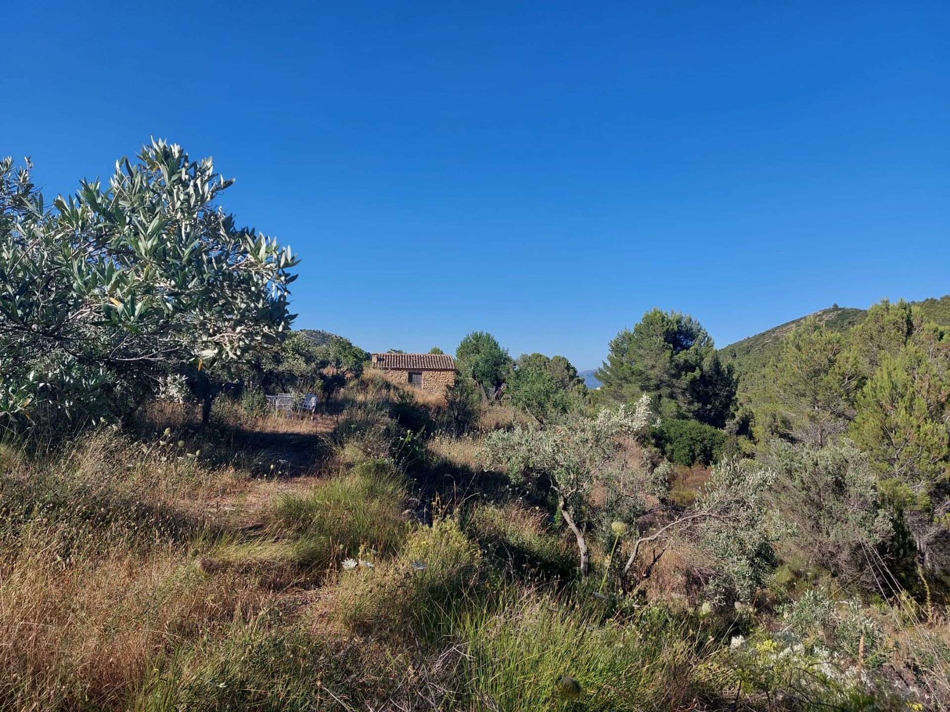 Tierra en Llíber, Comunidad Valenciana 11343027