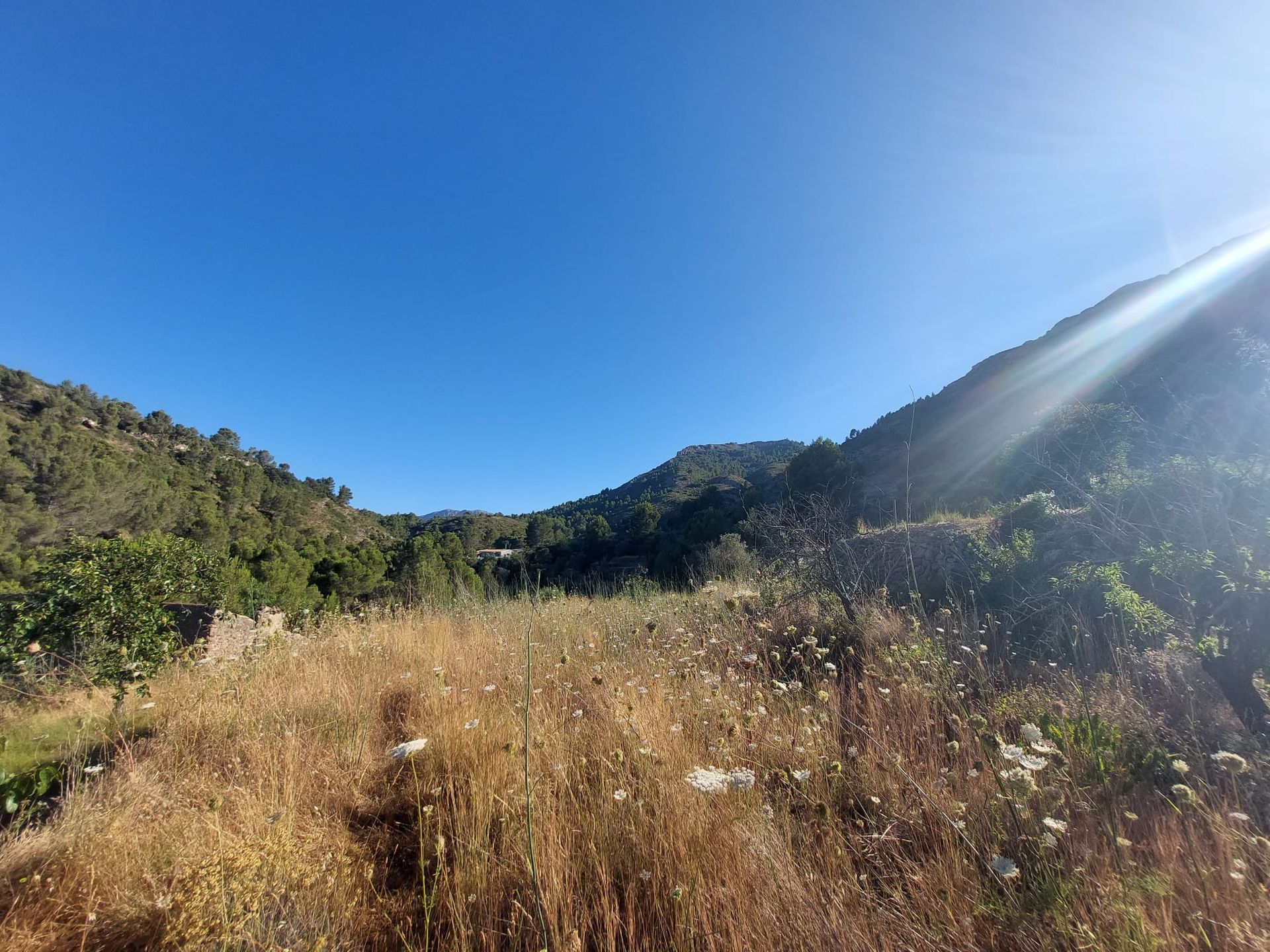 Terra no Lliber, Valência 11343027